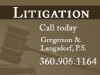 litiigation